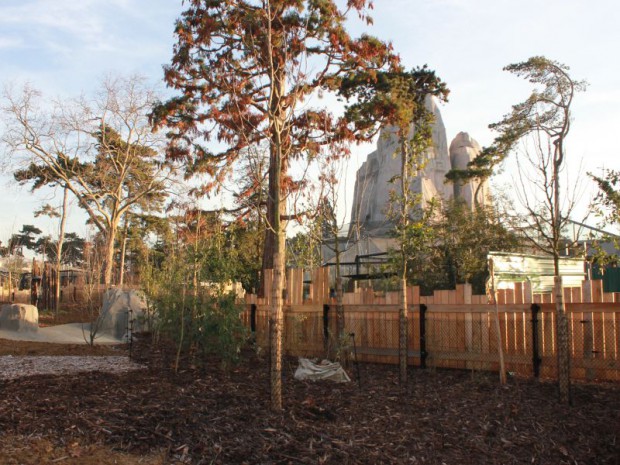 Serre tropicale au zoo de Vincennes