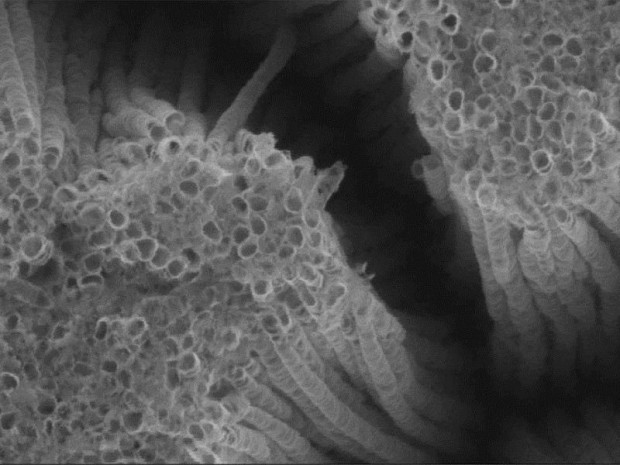 Nanotubes de titane