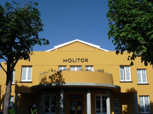 Piscine molitor