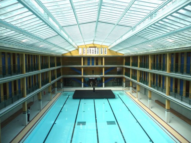 Piscine molitor