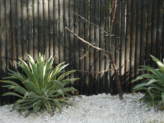 Festival international des jardins 