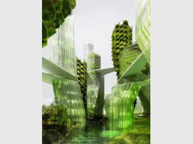 Les villes biomimétiques