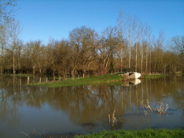 Marais poitevin