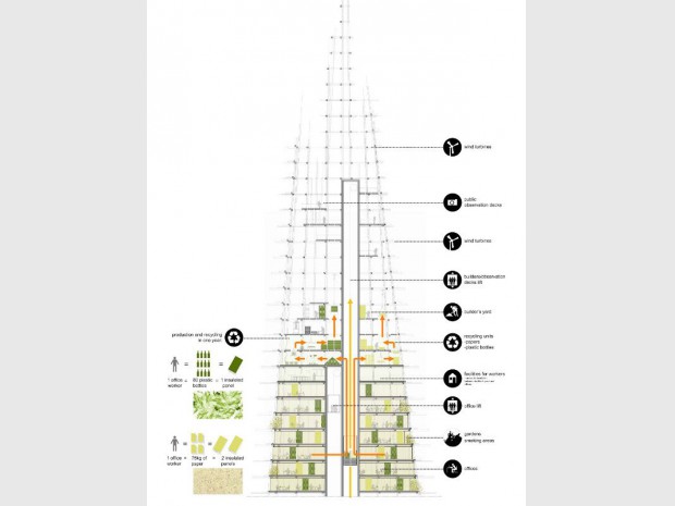 Organic Skyscraper