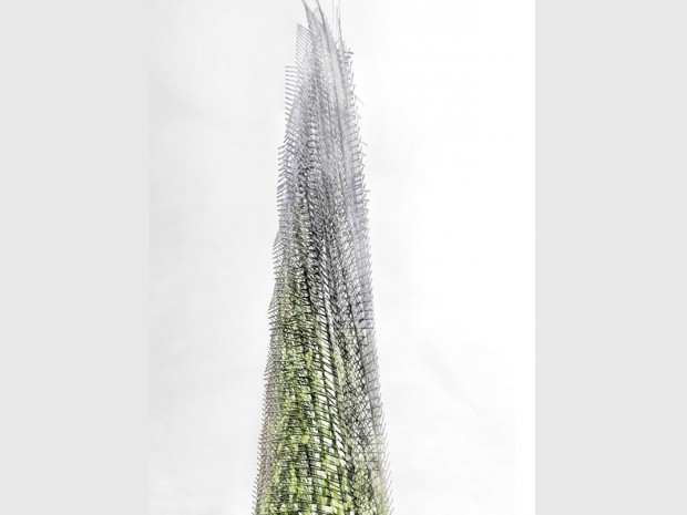 Organic Skyscraper