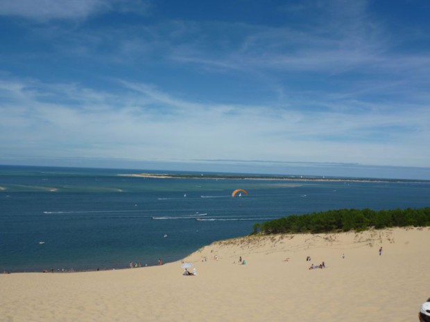 Cap ferret