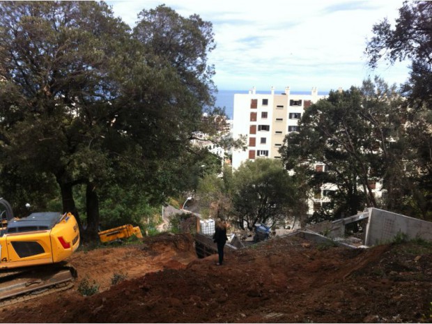 Demeures corses - maison dans les arbres