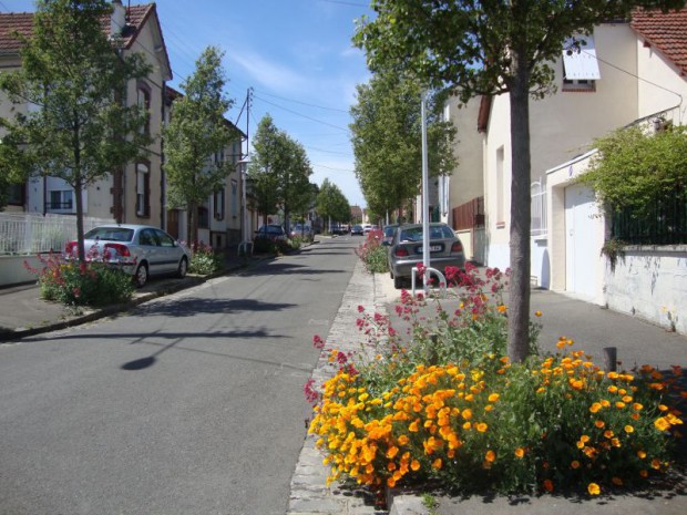 Végétalisation globale à Chartres