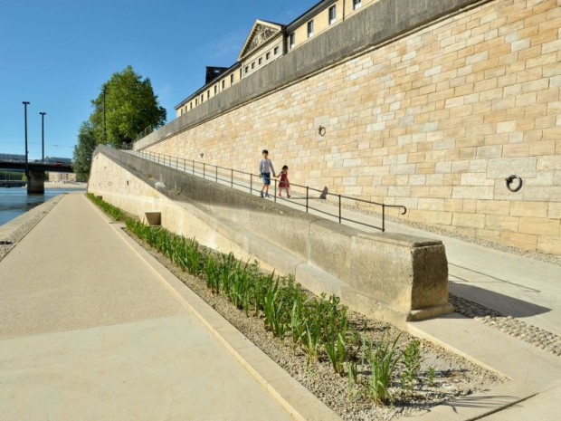 Revégétalisation des rives de Saône à Lyon