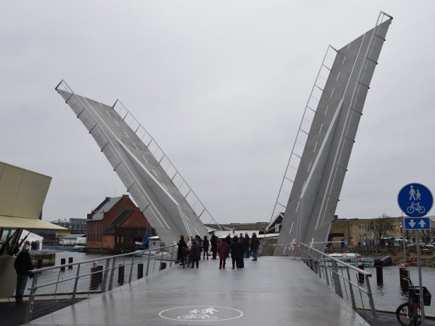 Butterfly bridge