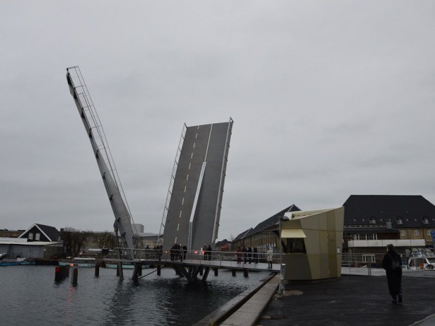 Butterfly bridge