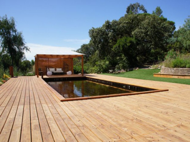 Piscine familiale naturelle 