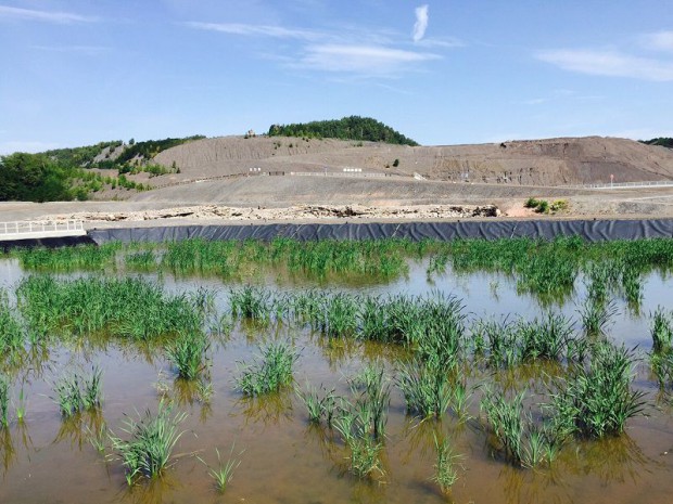 Une installation écologique pour traiter les eaux ...