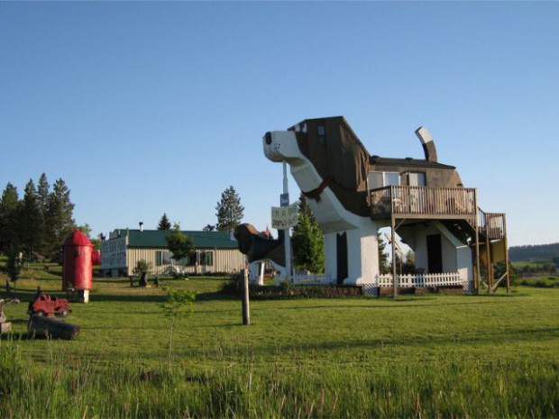 Une maison en forme de chien