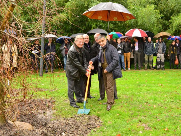 Une plantation d'arbres dans un parc des Mureaux.