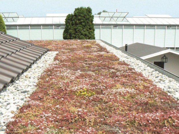 Urbanscape GreenRoof