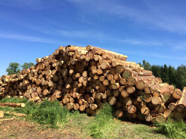 Mesta Wood - Finlande, juin 2016