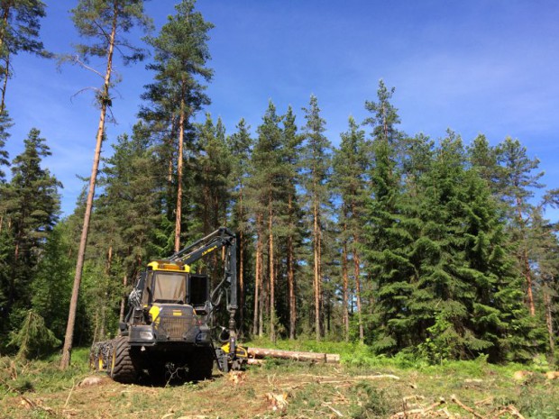 Metsa Wood, Finlande 2016