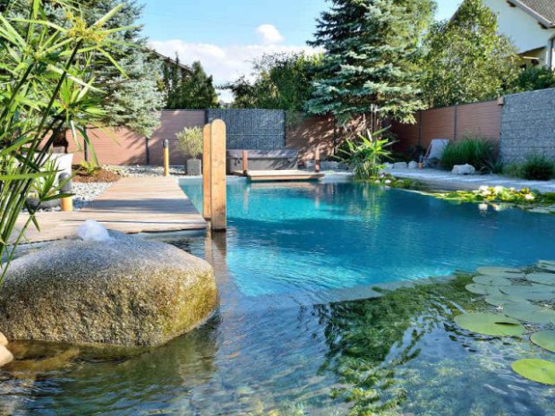 Une piscine naturelle en Alsace