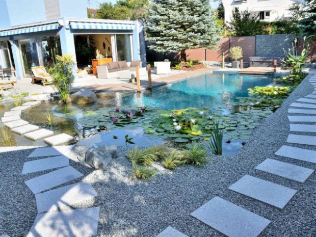 Une piscine naturelle en Alsace