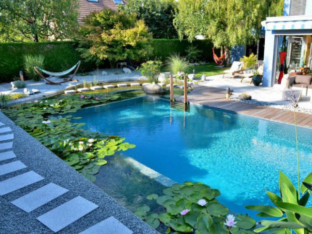 Une piscine naturelle en Alsace