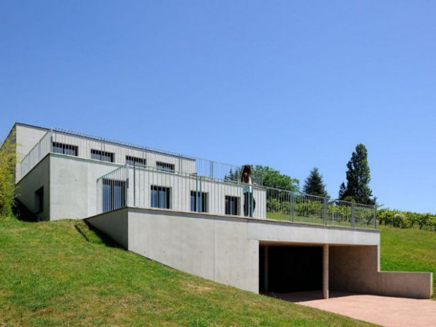 Une maison en béton grimpe au c&oelig;ur des vignes