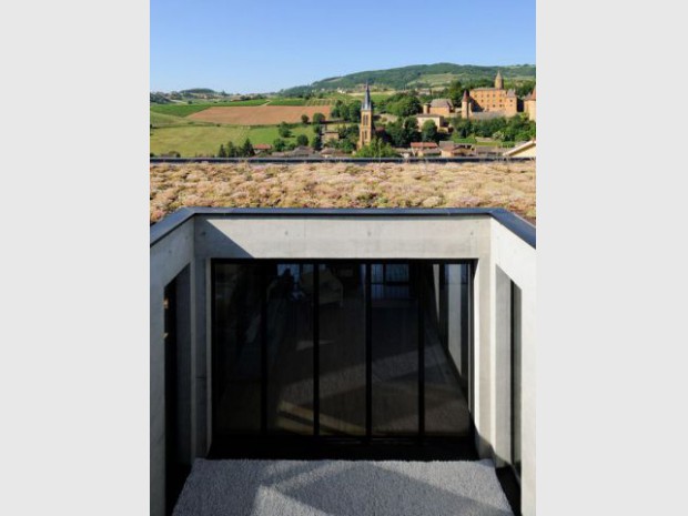 Une maison en béton grimpe au c&oelig;ur des vignes