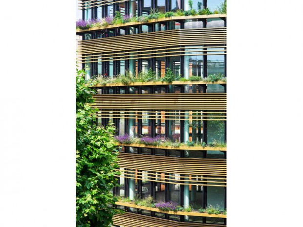 Immeuble bureaux végétalisé