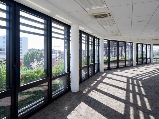 Immeuble bureaux végétalisé