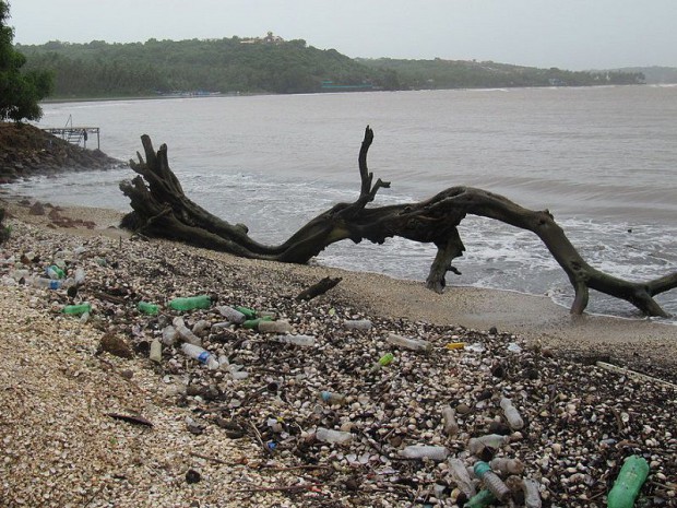 Pollution plastique