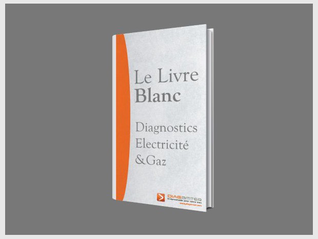 Livre blanc Diagnostics gaz & électricité
