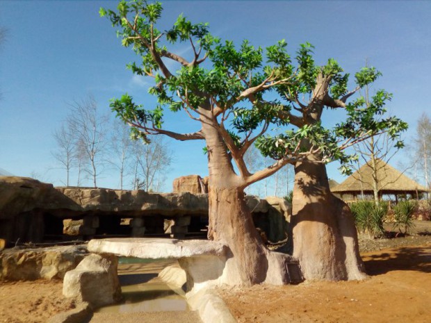 Construction décor Terre des Lions ZooParc de Beauval 