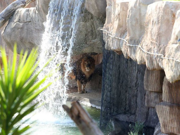 Zoo de Beauval