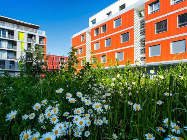 Découverte du premier éco-quartier "Eikenøtt" livré à Gland en 2014 par Losinger Marazzi, filiale suisse de Bouygues Construction