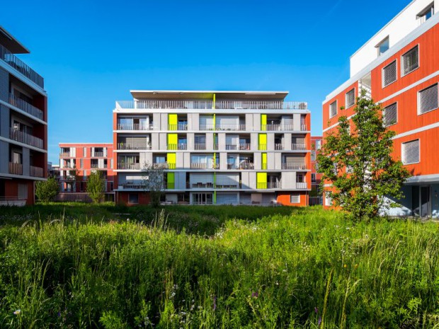 Découverte du premier éco-quartier "Eikenøtt" livré à Gland (Suisse) en 2014 par Losinger Marazzi, filiale suisse de Bouygues Construction