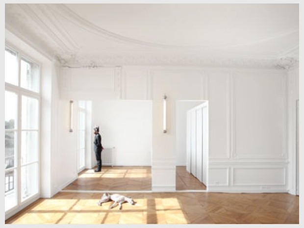Prix Europe 40 Under 40 Architectes & Designers 2016 : Napoléon rénovation d'un appartement (75)