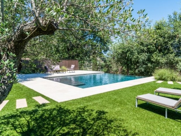 Une petite piscine entourée de verdure