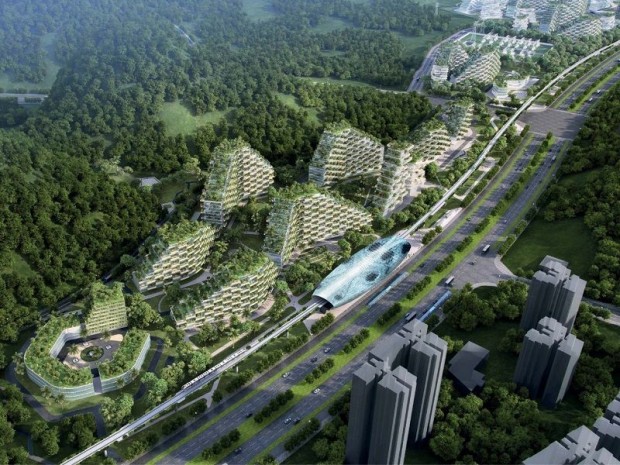 Liuzhou Forest-City