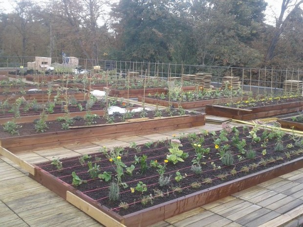 Potager sur le toit du pavillon d'Armenonville