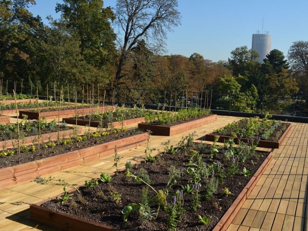 Potager sur le toit du pavillon d'Armenonville