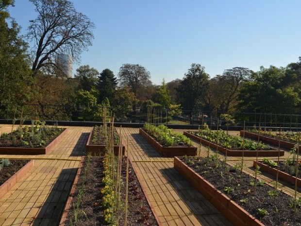 Potager sur le toit du pavillon d'Armenonville