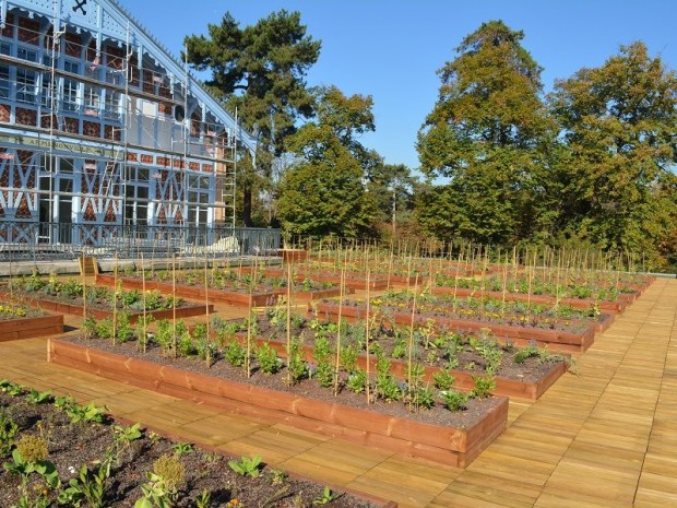 Potager sur le toit du pavillon d'Armenonville