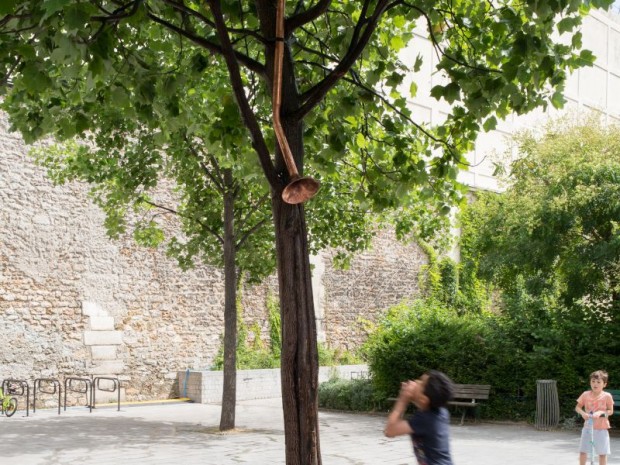 Arbre de pluie © Pierre l'Excellent