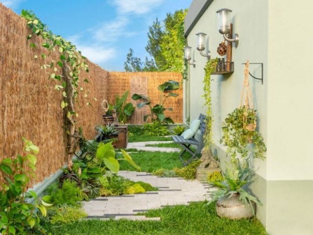 Une charmante allée mêlant nature et pavés