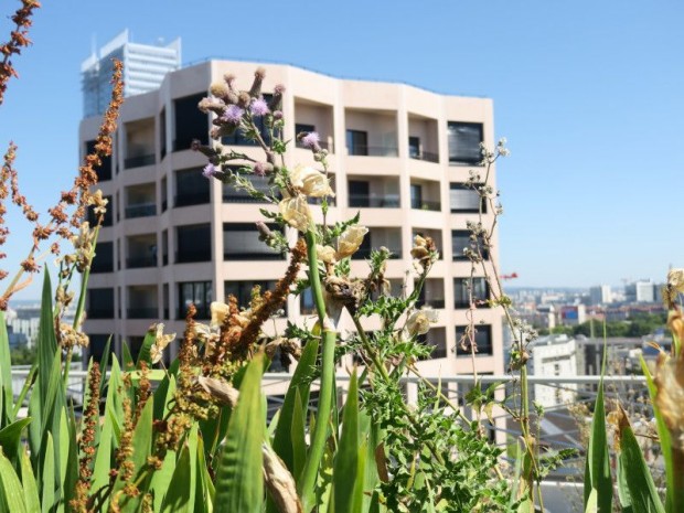 Îlot culturel - Tolila+Gilliland - Clichy-Batignolles