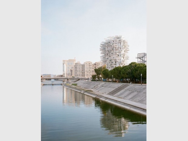 L'Arbre blanc - Montpellier 