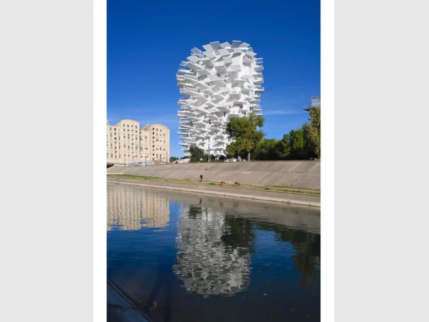 L'Arbre blanc - Montpellier 