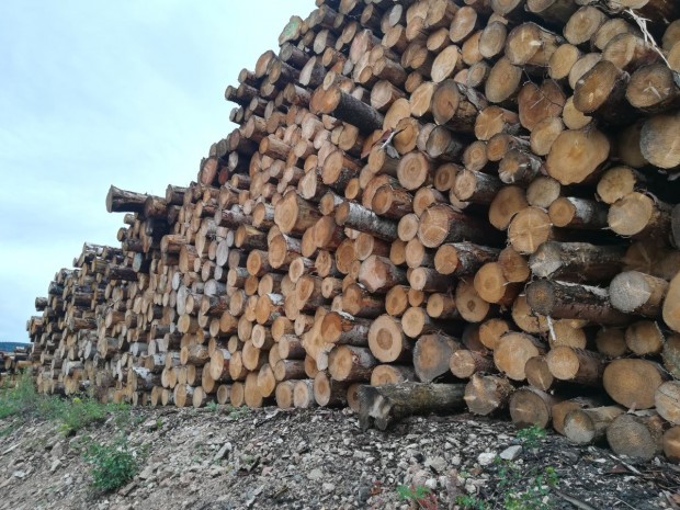 Stock de bois chez Euroénergies