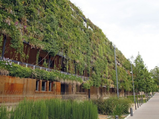 Végétalisation bâtiment vert