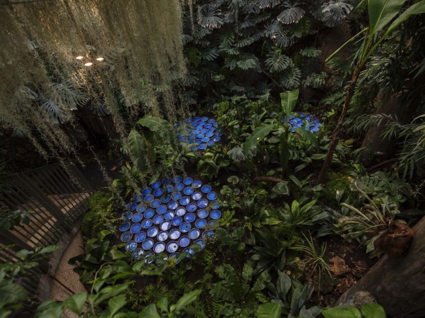 Rainforest, Patrick Nadeau à Chaumont-sur-Loire